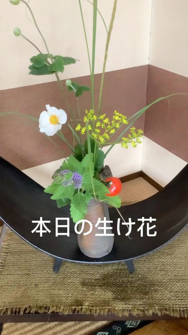 お店の玄関に飾ってある本日の生花です❣️
最近まで、夏のような暑さでしたが、
ようやく秋らしく涼しくなってきましたね。
本日お店の玄関に生け花を飾り付けしました✨
秋の風が心地よく吹き始め、これから紅葉が美しく色づくこの季節。当店の生花アレンジメントも、秋の彩りを取り入れています。皆様の心を温かく包み込みますように。

𖡼.𖤣𖥧𖡼.𖤣𖥧𖡼.𖤣𖥧𖡼.𖤣𖥧𖡼.𖤣𖥧𖡼.𖤣𖥧𖡼.𖤣𖥧𖡼.𖤣𖥧𖡼.𖤣𖥧

#呉服店 #生花 #和の美 #季節の花 #秋の彩り #インスタリール