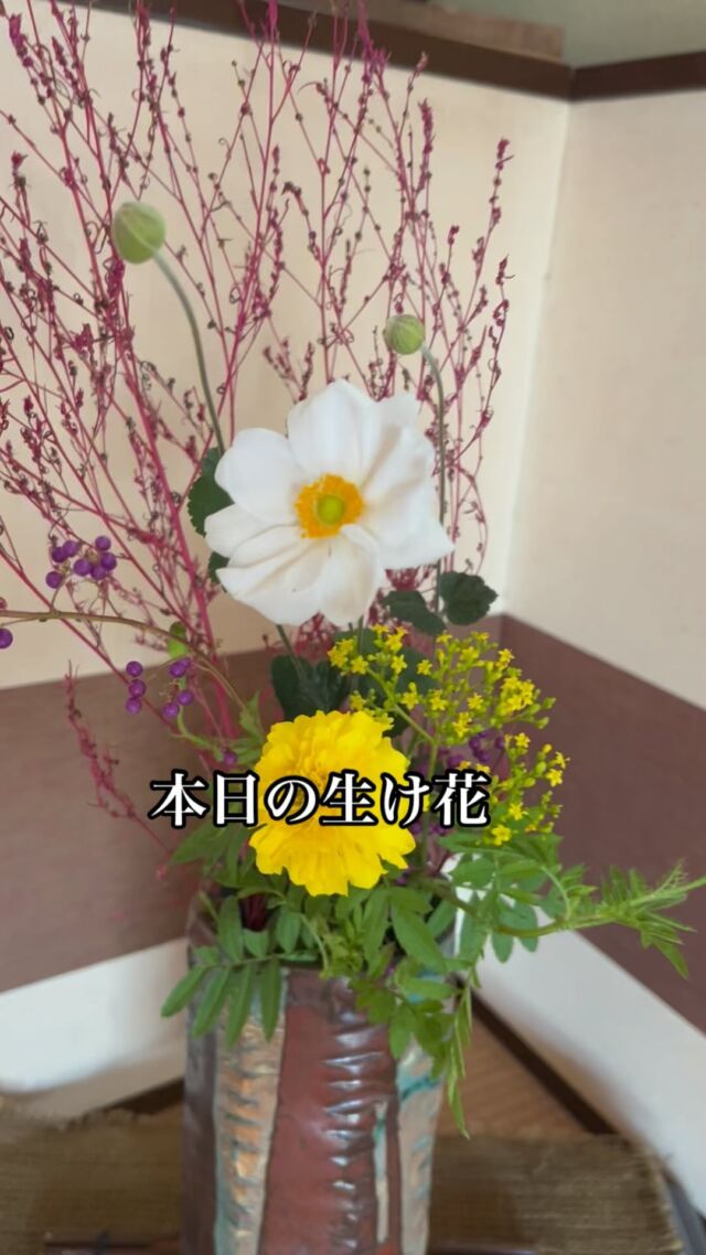 本日の生花です❣️✨

🌸 秋の訪れを感じる生け花 🌸
皆様、こんにちは！🍁
当店の玄関先に、秋の風情を感じる生け花を飾りました。特に、コキアを取り入れたアレンジメントが見どころです。季節の移ろいを感じながら、和の美しさをお楽しみいただければ幸いです。
ぜひ、お立ち寄りの際にはご覧くださいませ。皆様のご来店を心よりお待ちしております。

#呉服店 #生け花 #秋の風情 #和の美 #栃木市